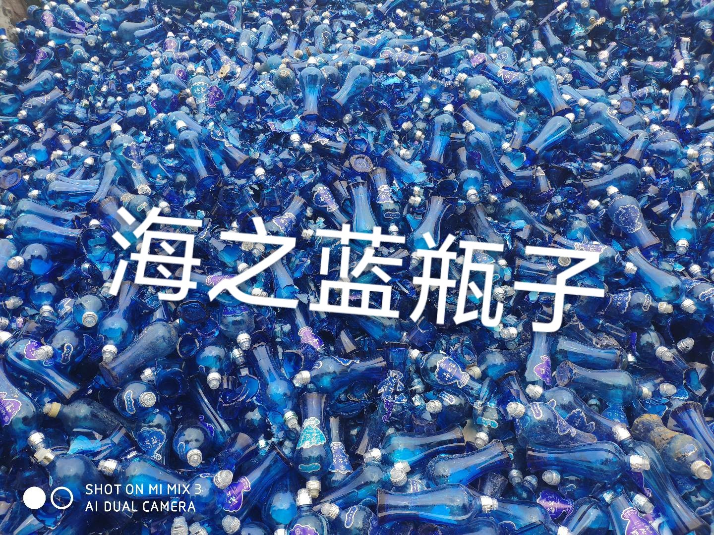 通州区海之蓝瓶回收